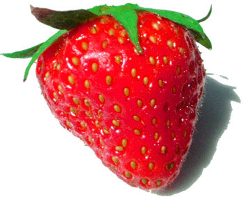 http://siri.cowblog.fr/images/fraise-copie-1.jpg